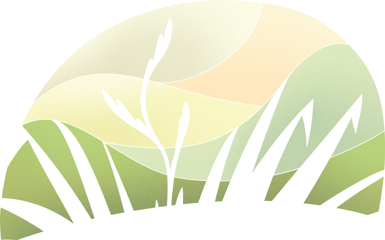 Ngā mihi | Thank you